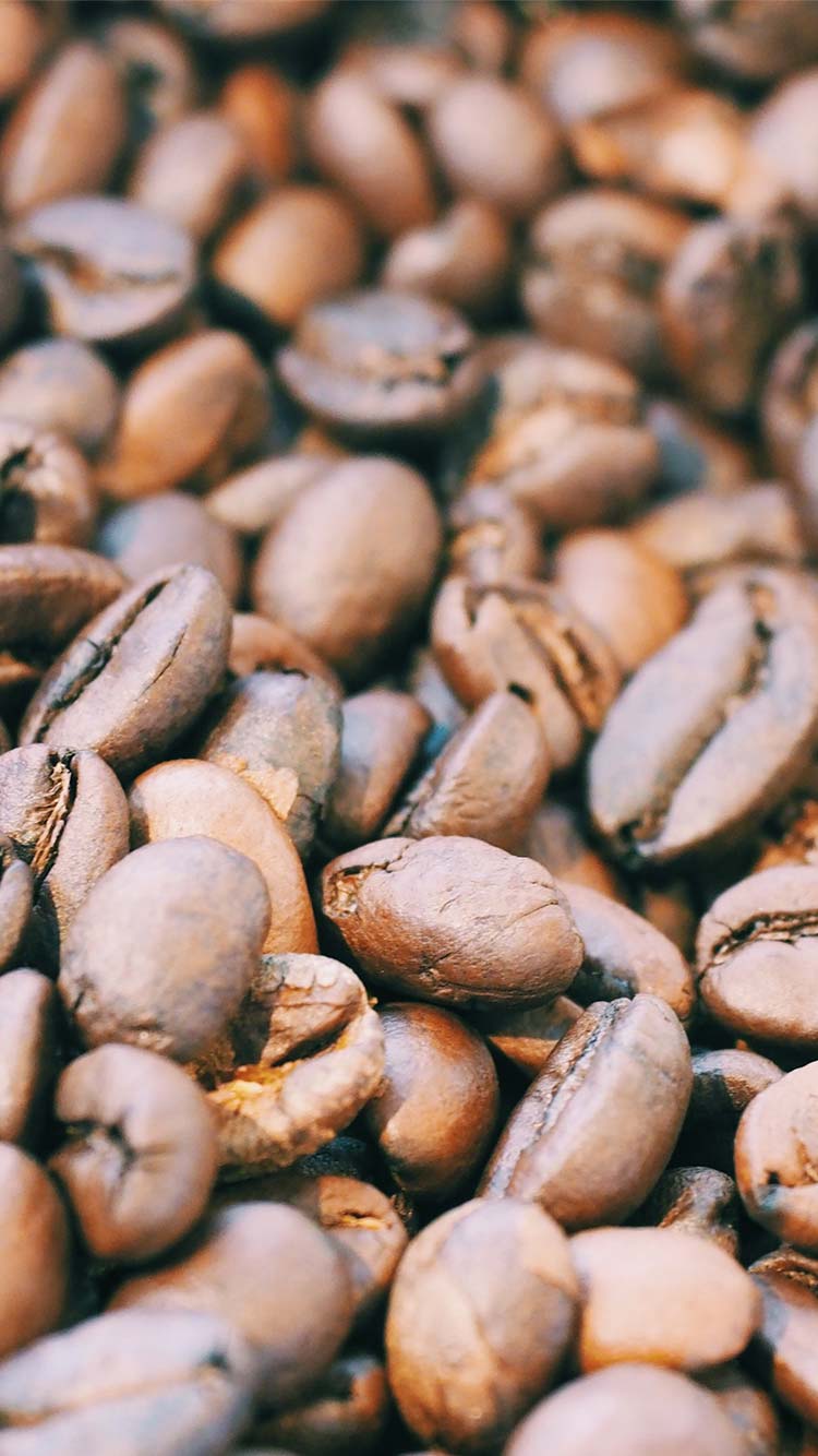 瀧本珈琲 specialtycoffee